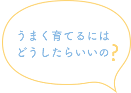 うまく育てるにはどうしたらいいの？