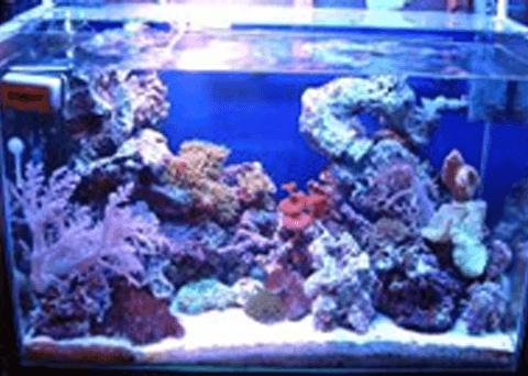海水水槽